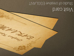 在线电话轰炸软件